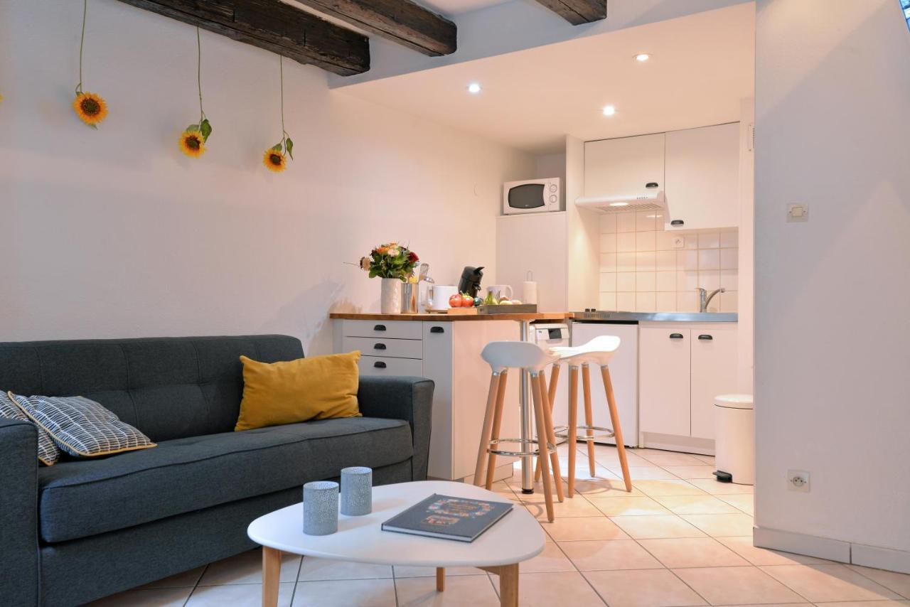 Appartement La Terrasse Sur Cour Colmar Zewnętrze zdjęcie