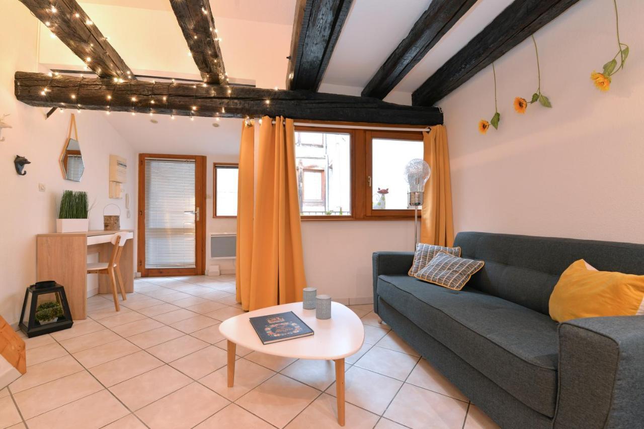 Appartement La Terrasse Sur Cour Colmar Zewnętrze zdjęcie