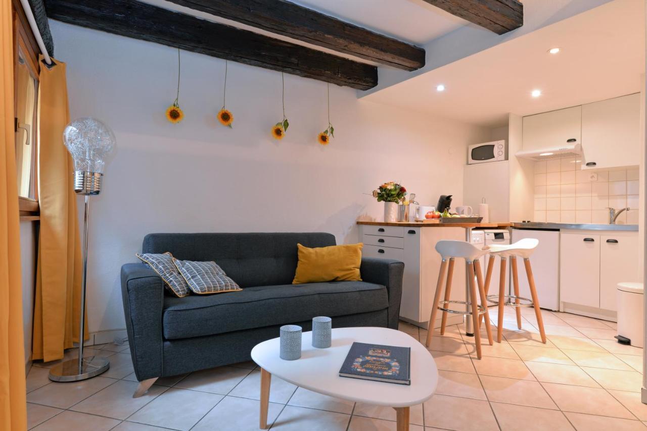 Appartement La Terrasse Sur Cour Colmar Zewnętrze zdjęcie